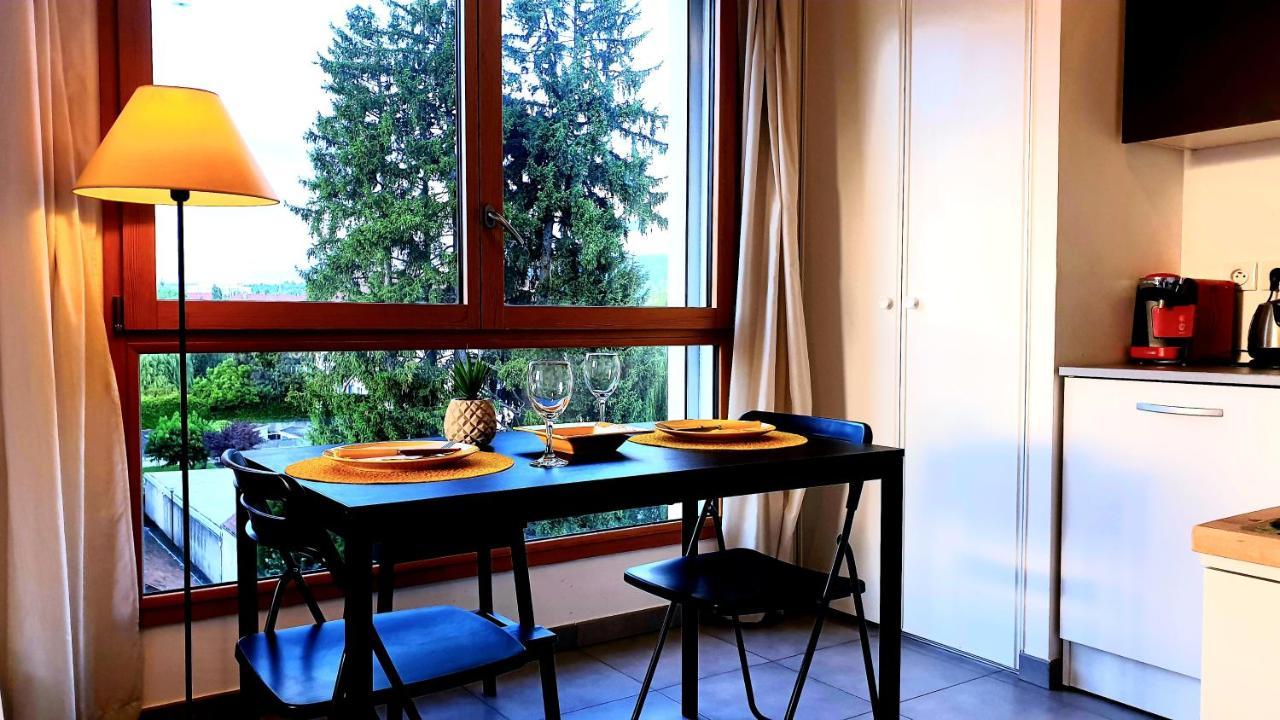 Ferienwohnung Le Bellevue A 10Min Du Centre A Pied Annecy Exterior foto